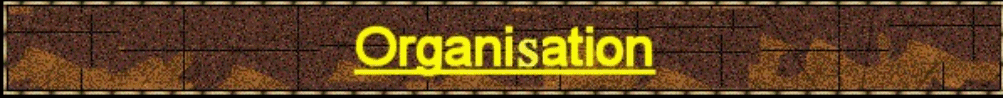 Organization